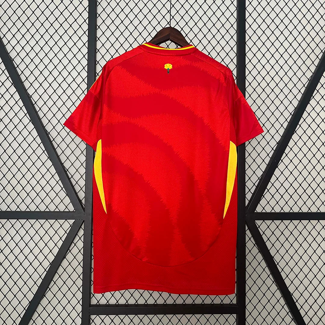 Spain National team Home 2024