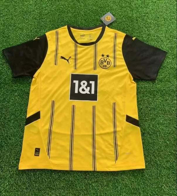 Dortmund Home 2024-2025